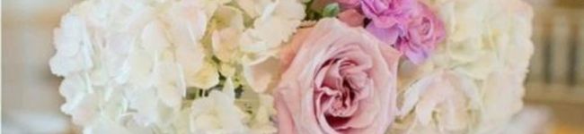 mrk424's header image