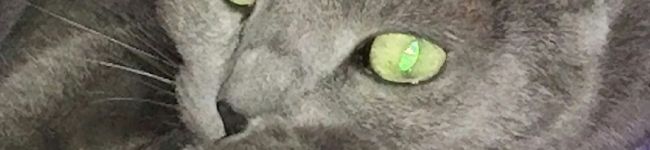 おひろ359's header image