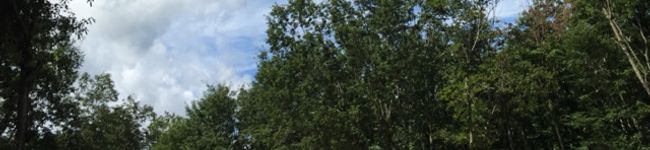 nonkaori's header image