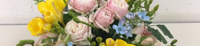 kazukobachan's header image