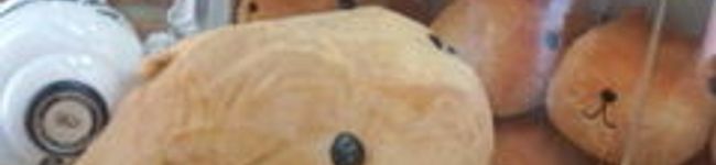 alice218's header image