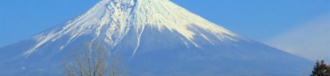 ひな０４０３'s header image