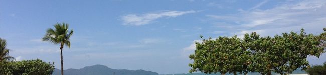 mitue's header image
