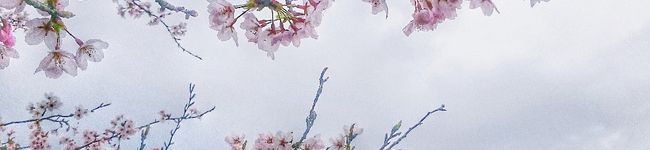 ex_gmhk's header image
