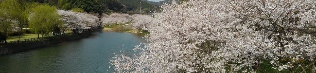 栄養士たっちゃん's header image