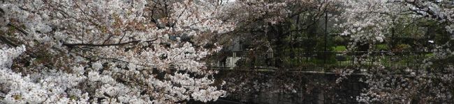 OkuSama18's header image