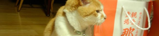 てつねこ's header image