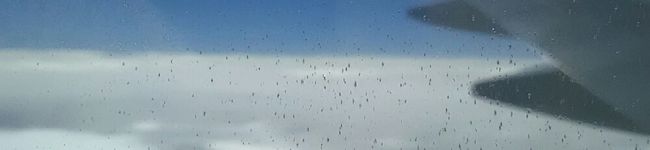 syamam｡'s header image