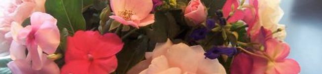 mikijin's header image