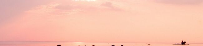 nar_y's header image