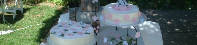 ｃｏｃｃｉ's header image