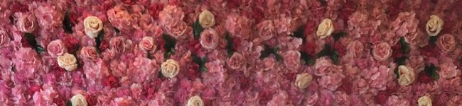 ame-ikuru's header image
