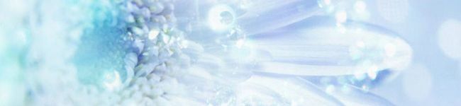 メモル01's header image