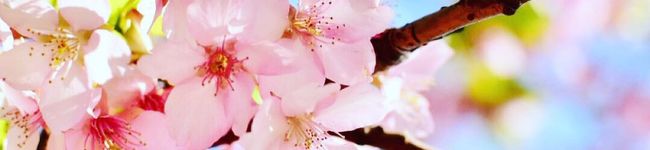 aimena's header image
