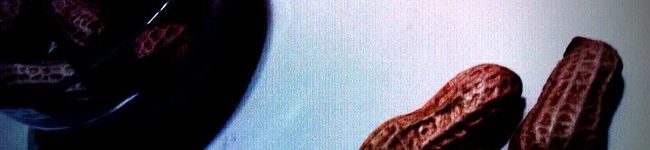 shunya0's header image