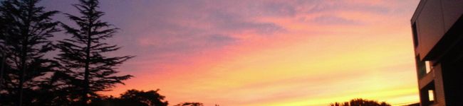 m:m:'s header image