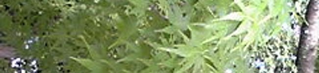 m,y,ｍ's header image