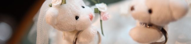 whiteりか's header image