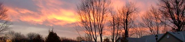Jay-J's header image