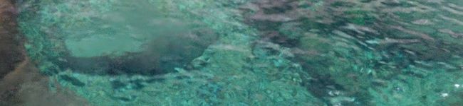 ◇はちみつ◇'s header image