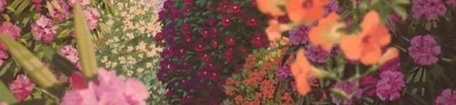 llleccalll's header image