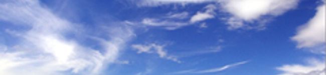 にょにょーん's header image
