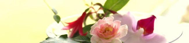 gingamom's header image