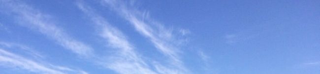 yukokuma's header image