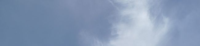 taiten's header image