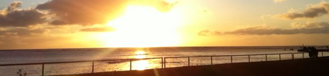 モグモグぽん太ママ's header image