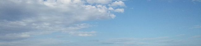 芋えり子さん's header image