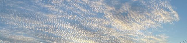 criss_d's header image