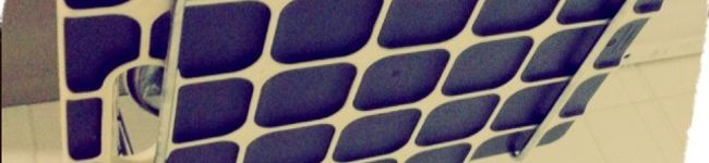 ple510's header image