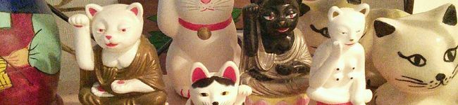 nyaro's header image