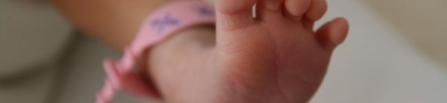 highfree's header image