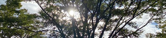 yokotoki's header image