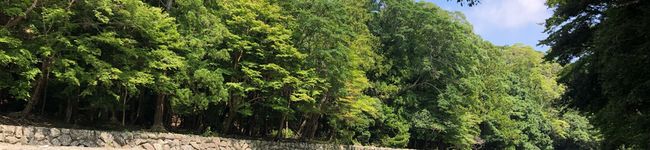 yukko6344's header image