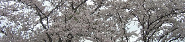 ふ～た's header image
