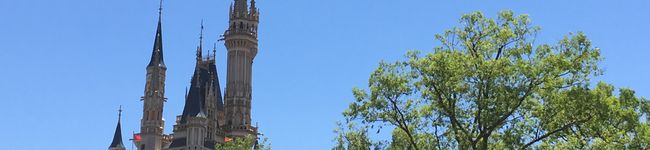 yukky19790515's header image