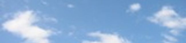 corincorin's header image