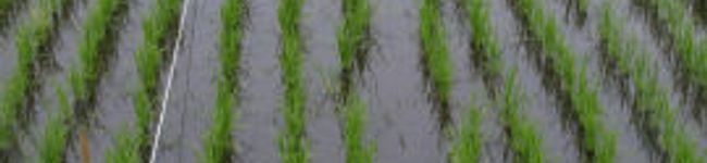 okutam's header image