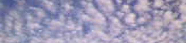 ｍｉｃｃａ's header image