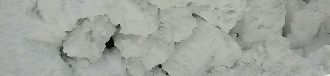 まりも1022's header image