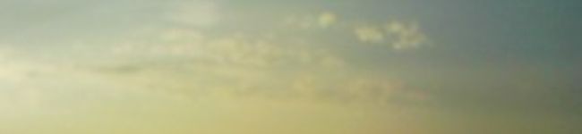 ｓａｙｕｒｉｎｇ's header image