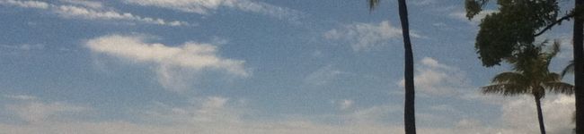 えつこふ's header image