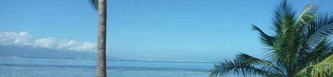 ゆうhama's header image