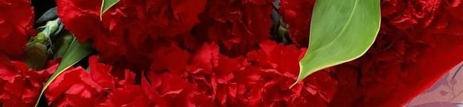 ＊Ｊｕｎｍａｍａ＊'s header image