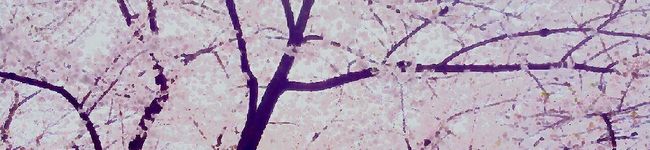ねこ0822's header image