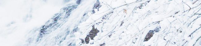 ちょいのこきのこ's header image