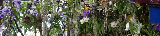 yummy0101's header image